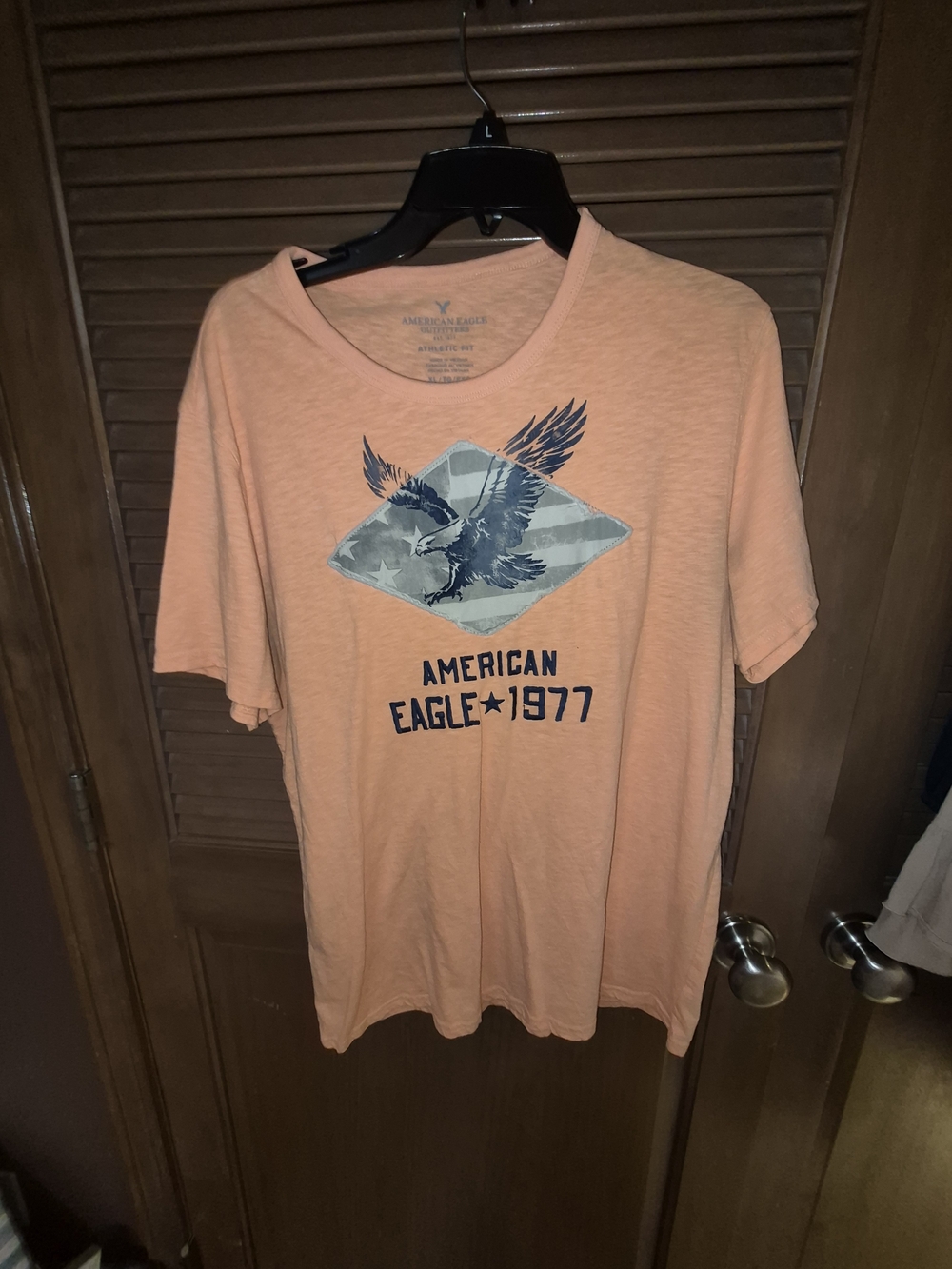 American Eagle Outfitters Peach Graphic Eagle Tee